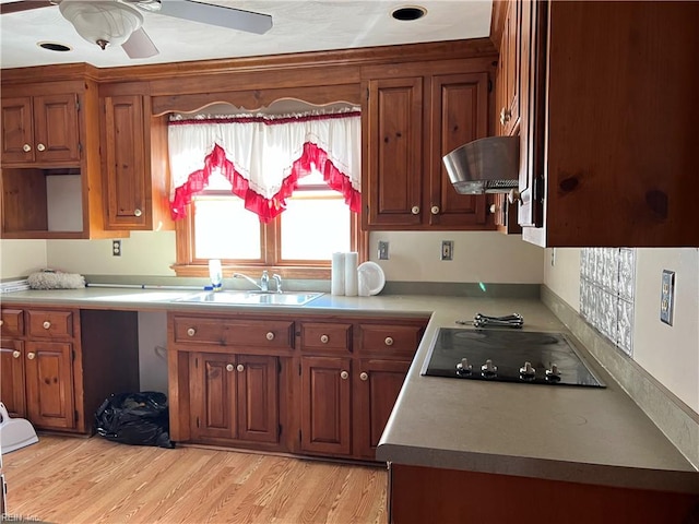 kitchen featuring black electric cooktop, sink, light hardwood / wood-style flooring, and range hood