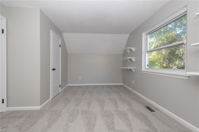 additional living space with a textured ceiling, light carpet, and lofted ceiling