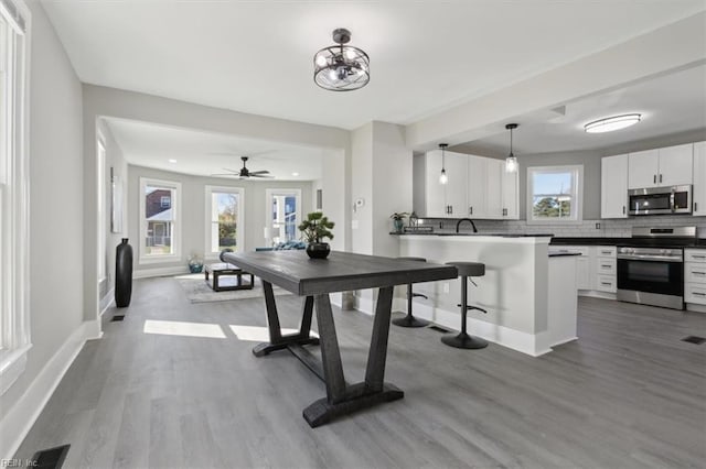 dining space with hardwood / wood-style flooring and ceiling fan