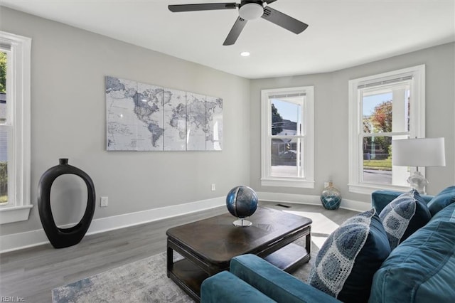 living room with a wealth of natural light, wood-type flooring, and ceiling fan