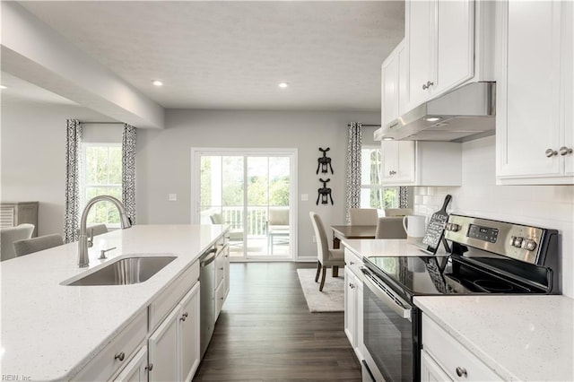 kitchen featuring dark hardwood / wood-style floors, a healthy amount of sunlight, sink, and stainless steel appliances