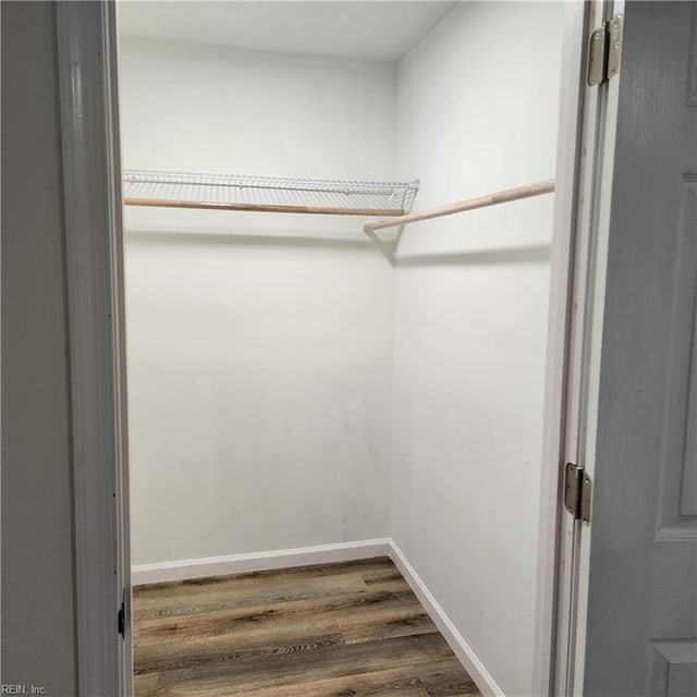 walk in closet with hardwood / wood-style flooring