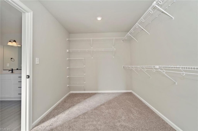 walk in closet featuring carpet