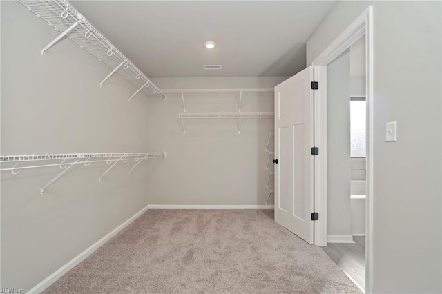 walk in closet featuring light colored carpet