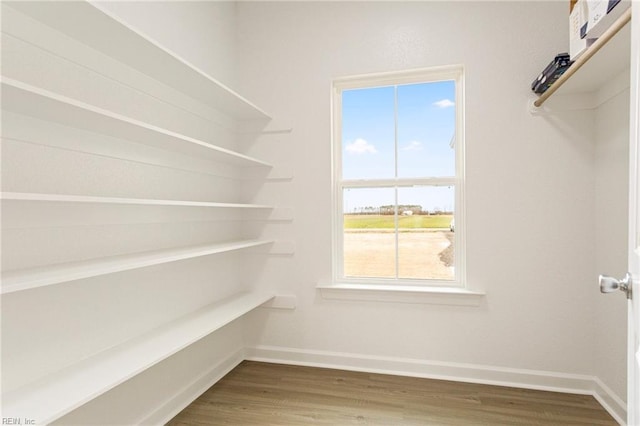 spacious closet with wood finished floors