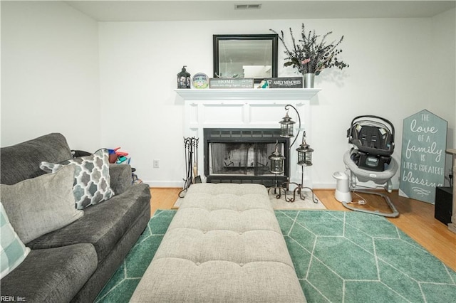 living room featuring hardwood / wood-style floors