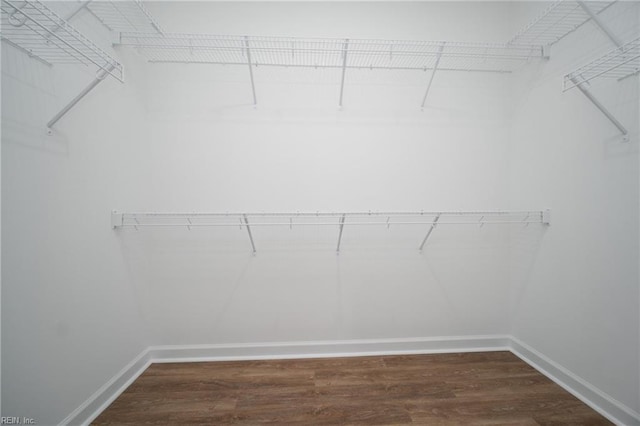 walk in closet with dark wood-type flooring