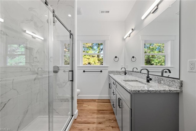 bathroom with a wealth of natural light, wood-type flooring, vanity, and an enclosed shower