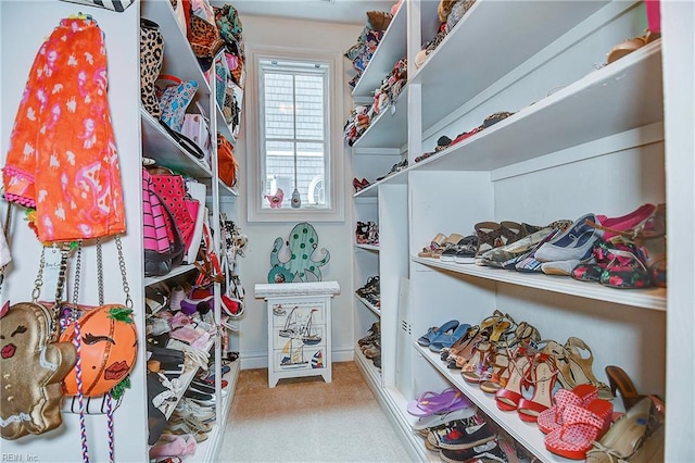 spacious closet with light colored carpet