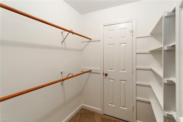 spacious closet featuring carpet flooring