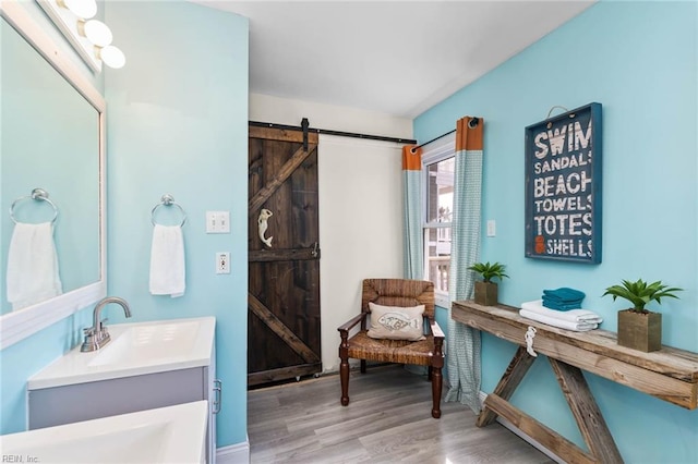 bathroom featuring hardwood / wood-style floors and vanity