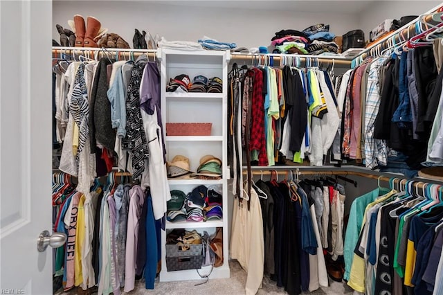 spacious closet with carpet