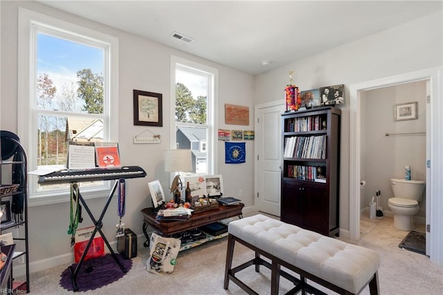 interior space with light colored carpet