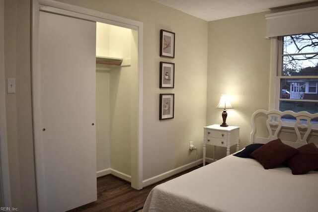 bedroom featuring dark wood-type flooring, a closet, and a walk in closet