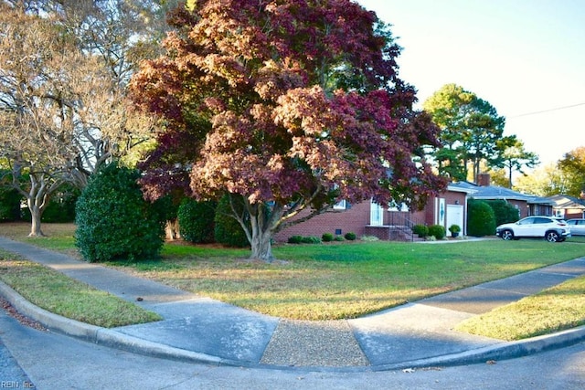 obstructed view of property with a front lawn