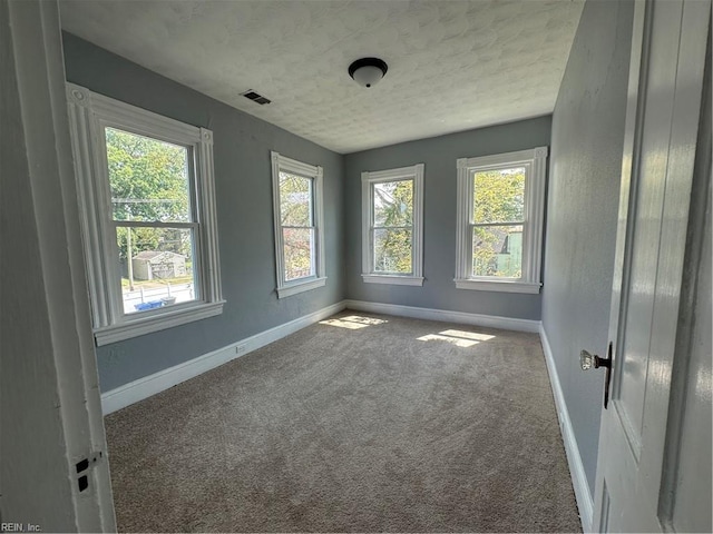 unfurnished room featuring carpet flooring and a wealth of natural light