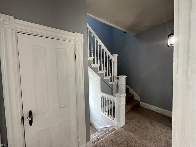 stairs with carpet floors