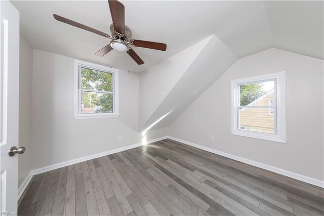 bonus room with wood-type flooring and a healthy amount of sunlight