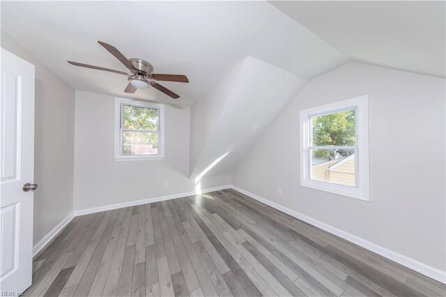 additional living space with hardwood / wood-style flooring, ceiling fan, a healthy amount of sunlight, and lofted ceiling