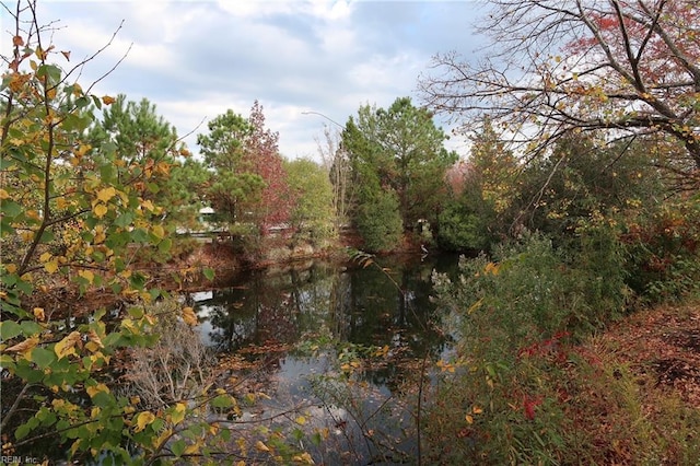 view of local wilderness with a water view