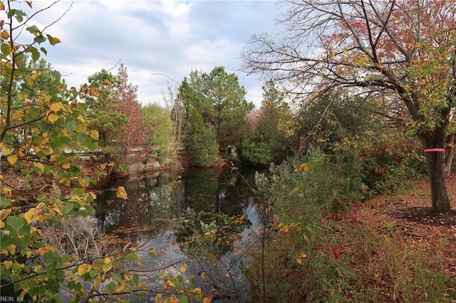 view of nature with a water view