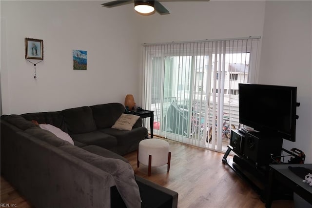 living room with hardwood / wood-style floors and ceiling fan