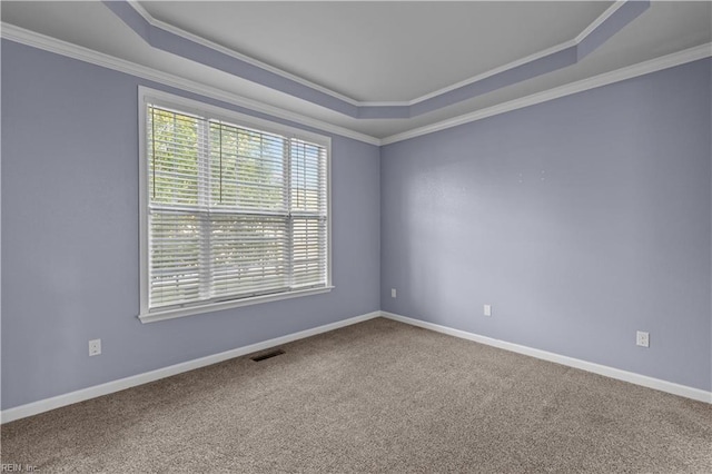 carpeted spare room featuring crown molding and a raised ceiling