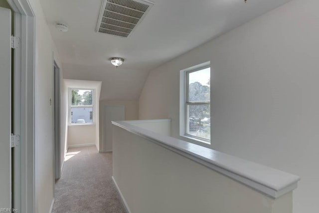 hall featuring plenty of natural light, light carpet, and vaulted ceiling