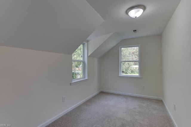 additional living space featuring light colored carpet and lofted ceiling