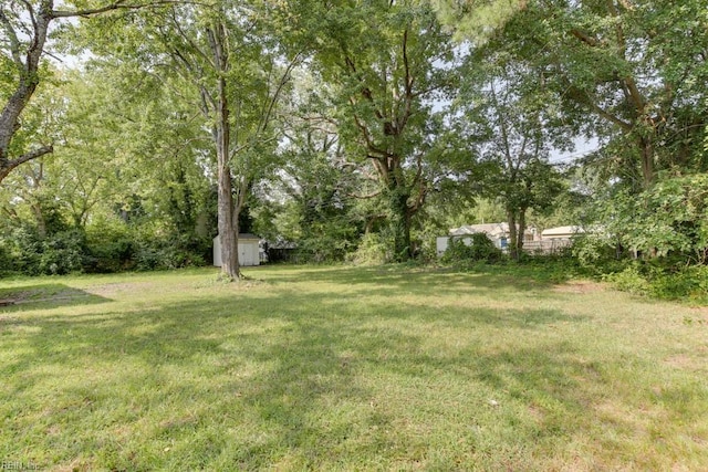 view of yard with a storage unit