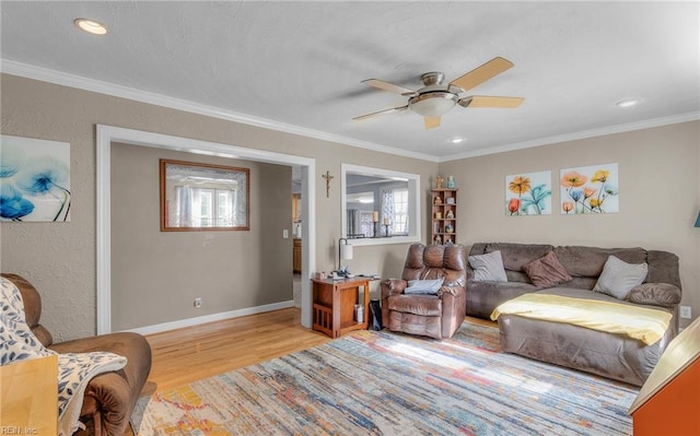 living room featuring ceiling fan, light hardwood / wood-style floors, and crown molding