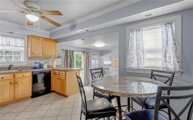 kitchen with ceiling fan, plenty of natural light, sink, and dishwasher