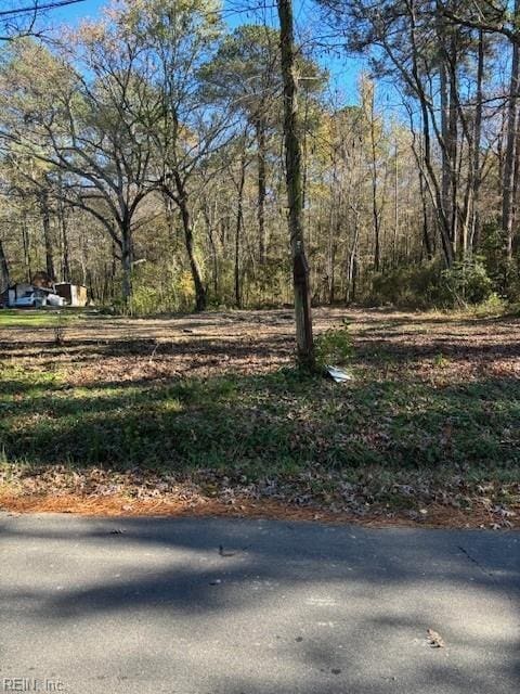 405 Coppahaunk Ave, Waverly VA, 23890 land for sale