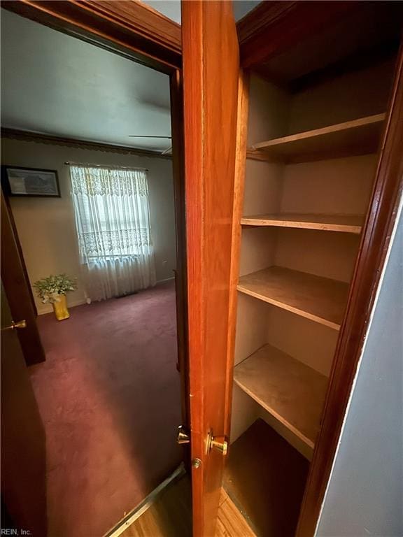 view of closet