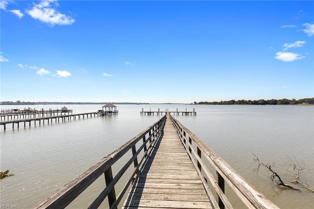 dock area with a water view