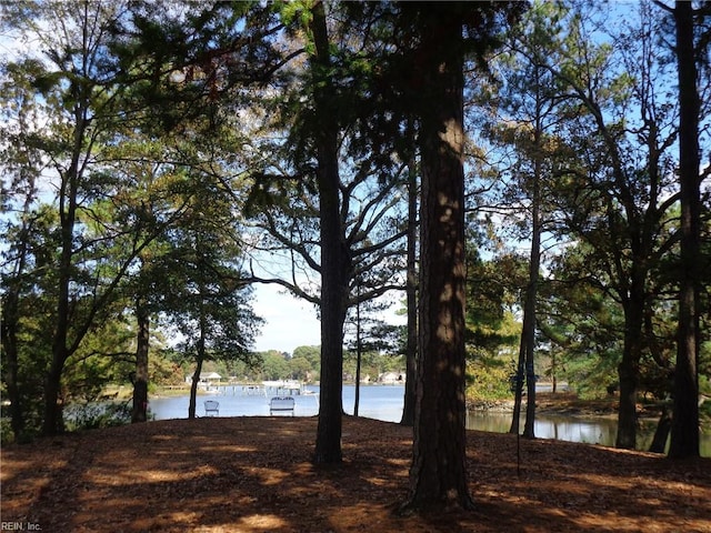 view of water feature