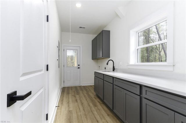 kitchen with gray cabinets, light hardwood / wood-style floors, and sink