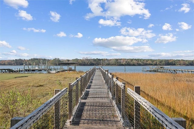 dock area with a water view