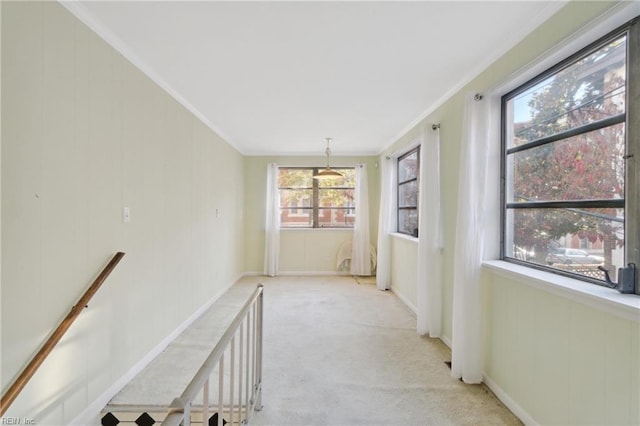 hallway featuring light colored carpet, crown molding, and a healthy amount of sunlight