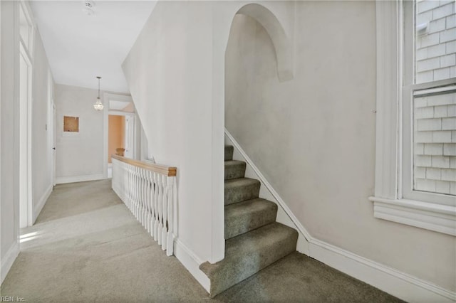 stairs featuring carpet floors