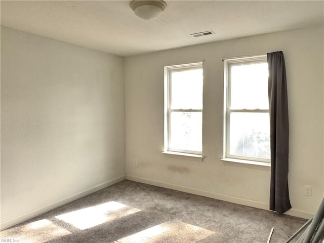 spare room with a wealth of natural light and light carpet