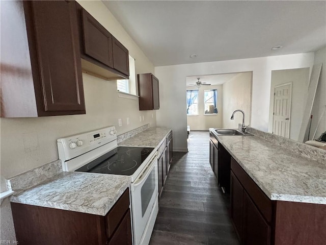 kitchen with dark brown cabinetry, sink, ceiling fan, white electric stove, and dark wood-type flooring