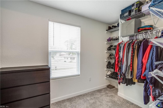 walk in closet featuring carpet flooring