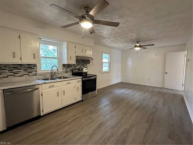 kitchen featuring ceiling fan, appliances with stainless steel finishes, a sink, plenty of natural light, and under cabinet range hood