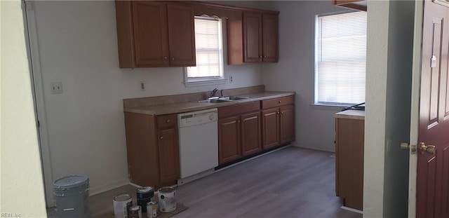 kitchen featuring sink, a wealth of natural light, white dishwasher, and wood-type flooring