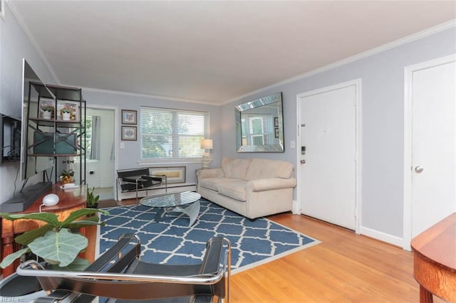 living room with hardwood / wood-style floors and ornamental molding