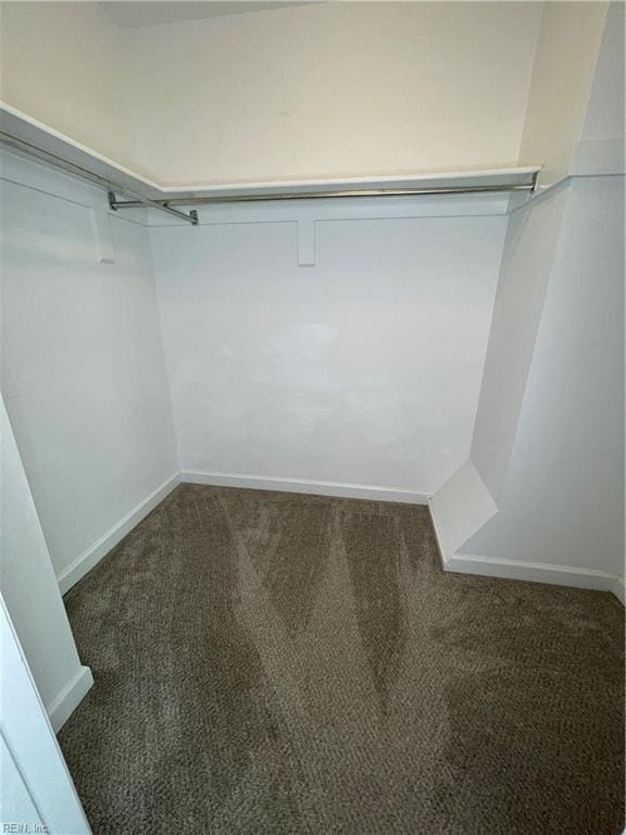 walk in closet with dark colored carpet