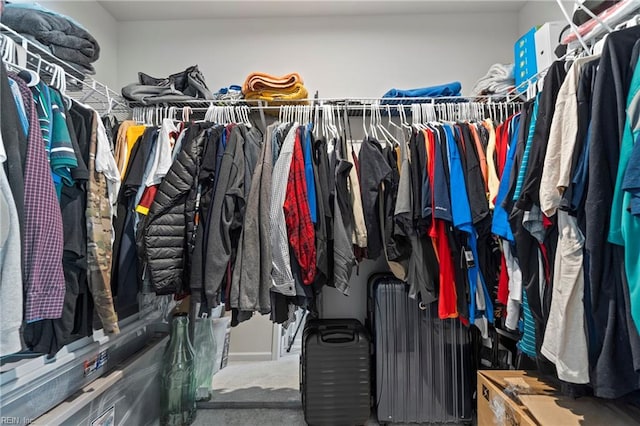 spacious closet with carpet and radiator