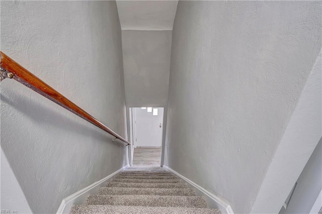 staircase featuring carpet floors