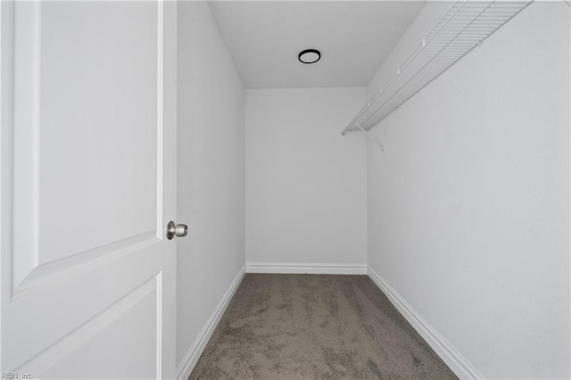 walk in closet with light carpet